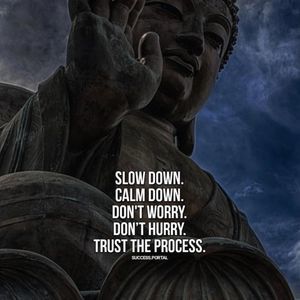 Meet your Posher, Lin